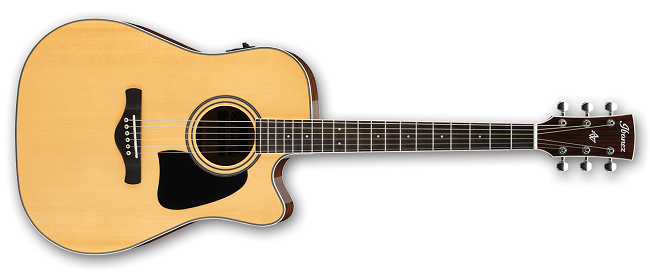 Ibanez Western Gitarren & Akkustik Bässe