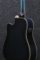 Preview: Ibanez PF15ECE-TBS