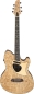 Preview: Ibanez TCM50-NT