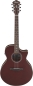 Preview: Ibanez AE100-BUF
