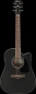 Preview: Ibanez AW84CE-WK