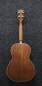 Preview: Ibanez PNB14E-OPN