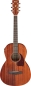 Preview: Ibanez PN12MHE-OPN