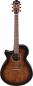 Preview: Ibanez AEG70L-TIH