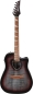 Preview: Ibanez ALT30FM-RDB