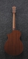 Preview: Ibanez AEWC11-TCB