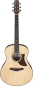 Preview: Ibanez AAM50-OPN