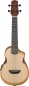 Preview: Ibanez AUC10E-OPN
