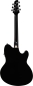 Preview: Ibanez TCY10LE-BK