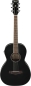 Preview: Ibanez PN14MHE-WK