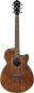 Preview: Ibanez AEG61-NMH