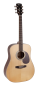 Preview: CORT Steel String Guitar, Earth 100, Natural Gloss