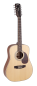 Preview: CORT Steel String Guitar, Earth 70-12, Open Pore, 12-String