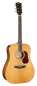 Preview: CORT Steel String Guitar, GOLD D6, Natural Gloss, Softcase