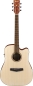 Preview: Ibanez PF10CE-OPN