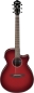 Preview: Ibanez AEG51-TRH