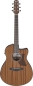 Preview: Ibanez AAM54CE-OPN