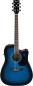 Preview: Ibanez PF15ECE-TBS