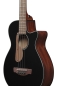 Preview: Ibanez AEGB24E-BKH