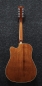Preview: Ibanez PF1512ECE-NT
