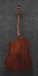 Preview: Ibanez AAD170CE-LGS