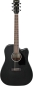 Preview: Ibanez PF16MWCE-WK