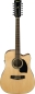 Preview: Ibanez PF1512ECE-NT