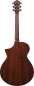 Preview: Ibanez AEWC11-DVS