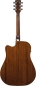 Preview: Ibanez AW70ECE-NT