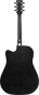 Preview: Ibanez AW84CE-WK