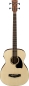 Preview: Ibanez PCBE12-OPN
