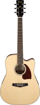 Ibanez PF16WCE-NT