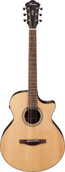 Ibanez AE275BT-LGS
