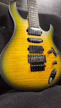Preview: PRS SE Chleo Herman Li Signature Mantis Burst