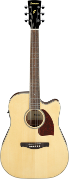 IBANEZ PF Performance Acoustitc Guitar 6-String - Natural High Gloss PF16WCE-NT