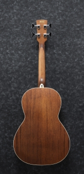 Ibanez PNB14E-OPN