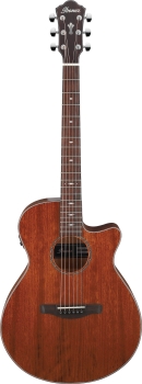 Ibanez AEG220-LGS