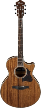 Ibanez AE245-NT
