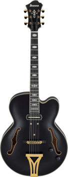 IBANEZ Pat Metheny Signature Hollow Body Guitar 6-String - Black Low Gloss + Case PM3C-BKL