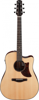 IBANEZ Platinum Collection Acoustic Guitar 6 String - Natural Low Gloss + Case AAD400CE-LGS