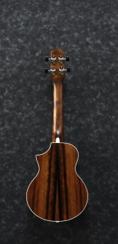 Ibanez UEW13MEE-DBO