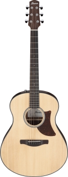 Ibanez AAM50-OPN