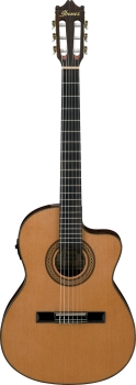 Ibanez GA5TCE-AM