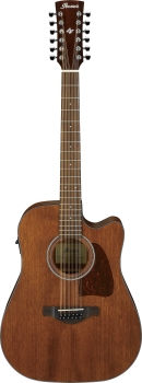 Ibanez AW5412CE-OPN