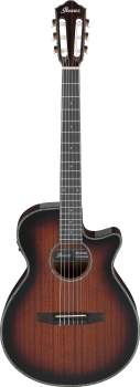 Ibanez AEG74N-MHS