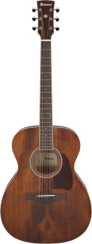 IBANEZ Artwood AC Acoustic Guitar 6-String - Open Pore Natural AC340-OPN