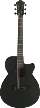 Ibanez AEG621-BOT