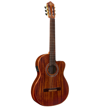 ORTEGA The Private Room 4/4 Nylon String Guitar 6-String - Natural + Gig Bag EXOTICSUITECE
