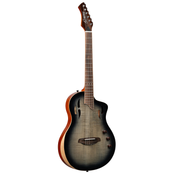 ORTEGA TourPlayer Series 4/4 Nylon String Guitar 6-String + Pro Gig Bag RTPG-LS1