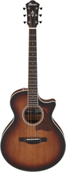 Ibanez AE240JR-MHS